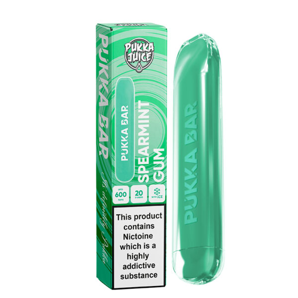 PUKKA BAR Disposable 600 Puffs Vape Kit